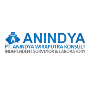 PT ANINDYA