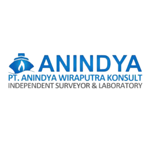 PT ANINDYA